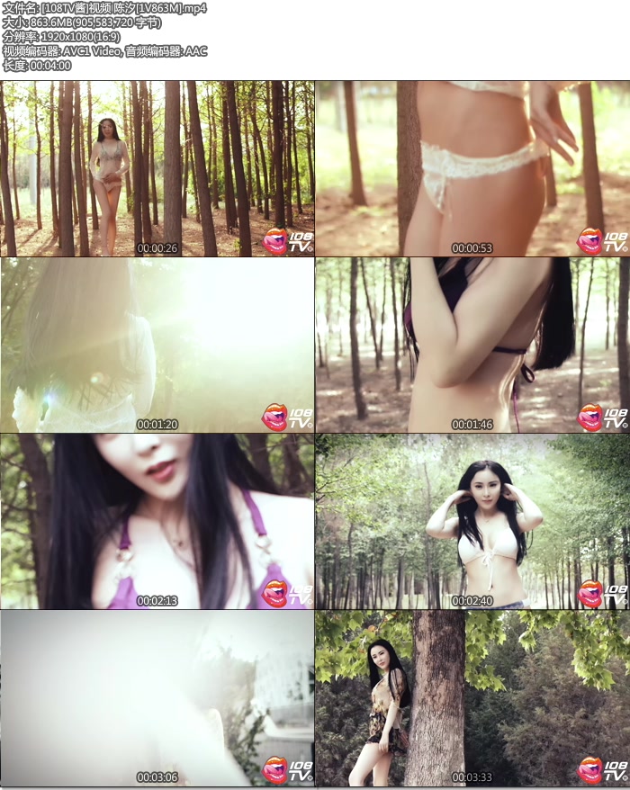 [108TV��]��Ƶ ��ϫ [mp4/863M]