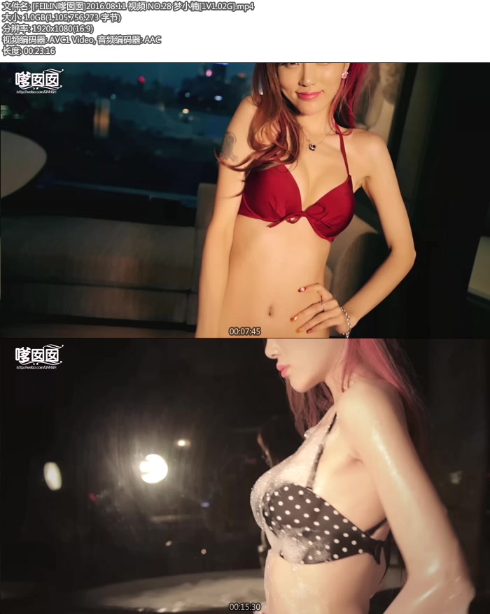 [FEILIN������]2016.08.11 ��Ƶ NO.28 ��С�[1V1.02G]