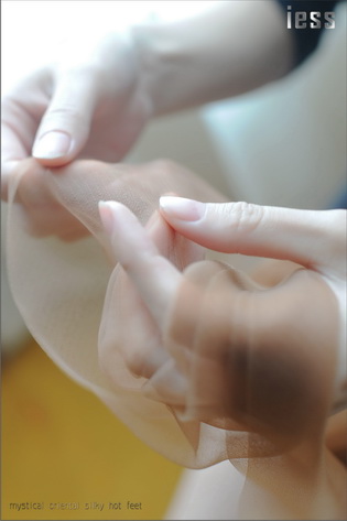 [IESS��˼Ȥ��]ϵ�� Model ����[99P105M]